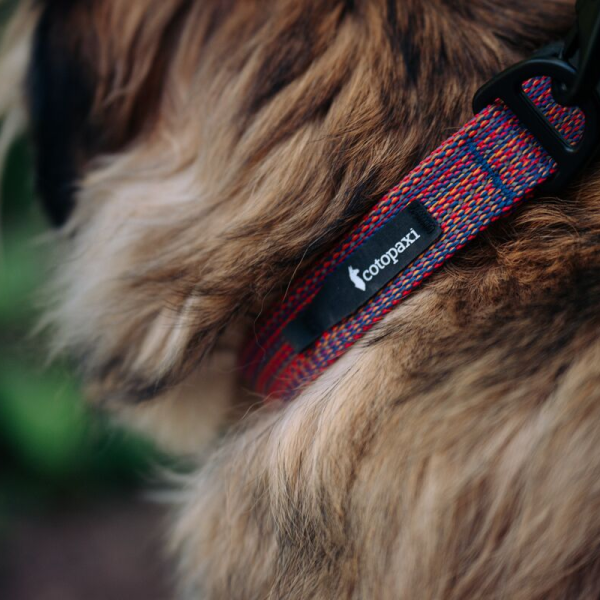 Del DIa Dog Collar