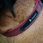 Del DIa Dog Collar